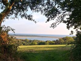 The coastal path through the woodland walk