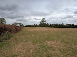 Level camping field