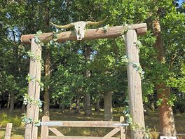 Entrance to the forest