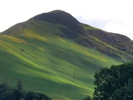 View from the site