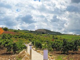 View of the site