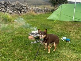Bbq!