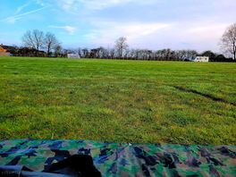 Morning view from tent