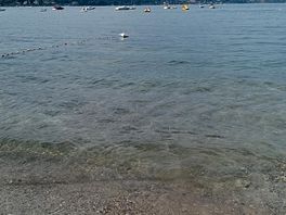 Lago vicino al campeggio 🏕️