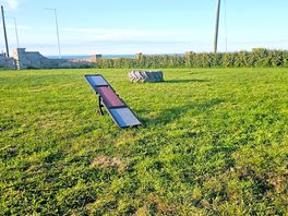 Dog fenced off area