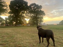 Sunsets 100%