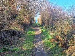 Path to beach