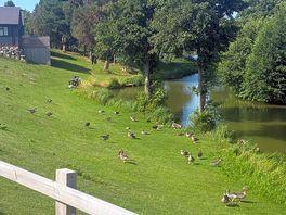 Fishing pond one of many