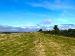 Flat field
