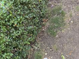 The ground next to our car