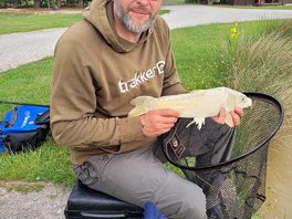 Fishing on a sunny weekend 😎