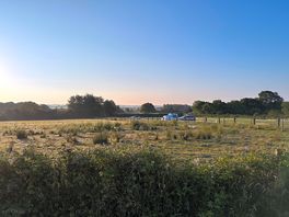Early morning scenes overlooking the campground