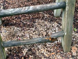 Broken play equipment