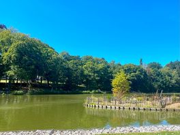 Nearby small lake