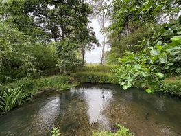 The river
