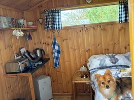 Inside the treehouse