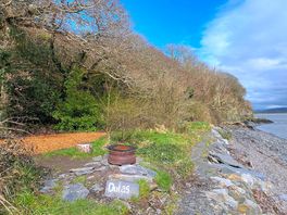 The middle pitch, Dulas. A soft wood chip patch for tent and surrounded by grass and shrubs