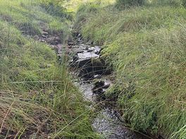 Tranquil stream