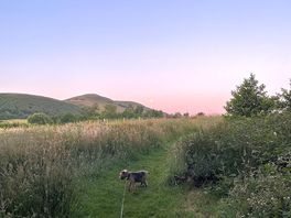 Walks near the campsite