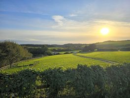 The Camping field