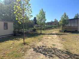 Camp