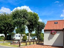 Toilet blocks