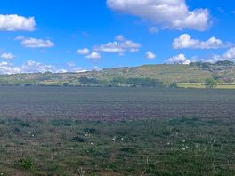 Lovely view across the nearby fields.