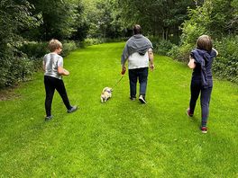 Walks nearby