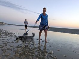 Dog friendly beach