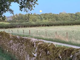 Lovely evening for a stroll