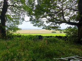 View from pitch