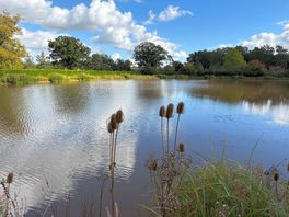 One of the fishing pools