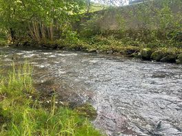 Riviere