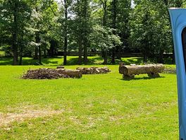 Big fire pit, with log seating
