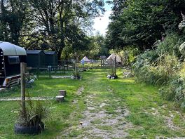 Different accommodation choices