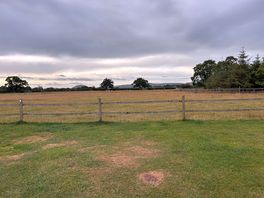 View of the field from our tent