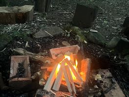 Fire pit in the woods