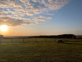 Morning sun