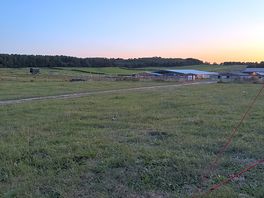 View from the tent area