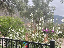 Restaurant view