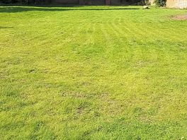 Camping Field