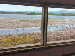 From the hide