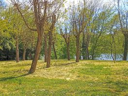 Pitches by the river