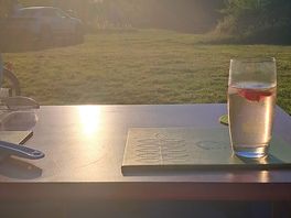 Pretty site enjoying the sun going down.