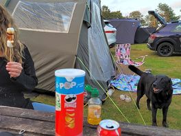 Dog friendly