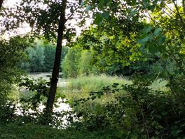 Riverside walks