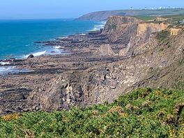 Coastal walk