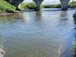 Down by the river