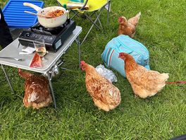 Henrietta, jane, anne and catherine!!