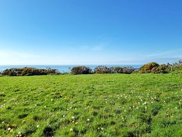 Grassy pitches
